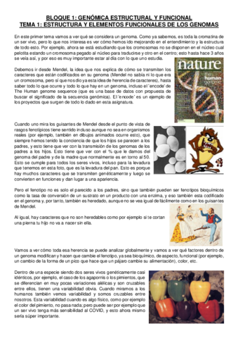 Tema-1-Bloque-1.pdf