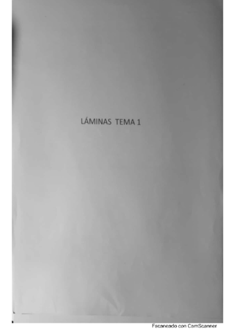 Laminas-resueltas-TEORIA.pdf