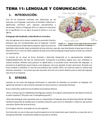 Tema-11.pdf