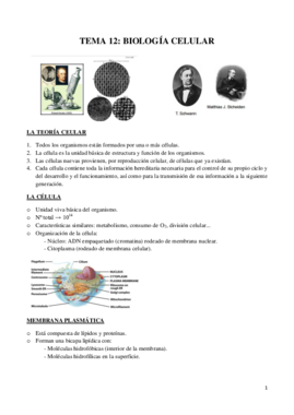 BIOLOGÍA CELULAR.pdf