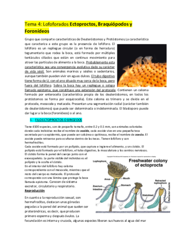 Tema-4.pdf