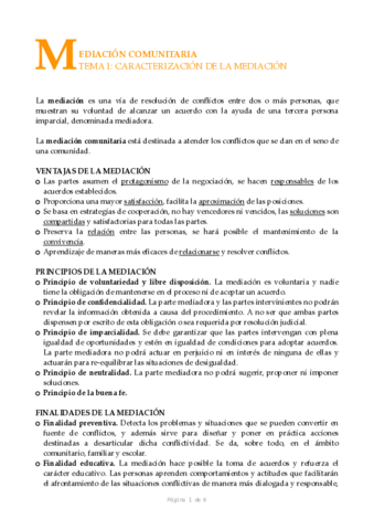 CARACTERIZACIÓN DE LA MEDIACIÓN