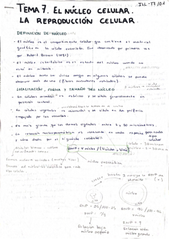 El-nucleo-celular.pdf