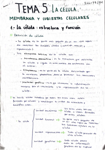 La-Celula-Membranas.pdf