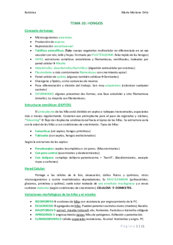 Parcial 2.pdf