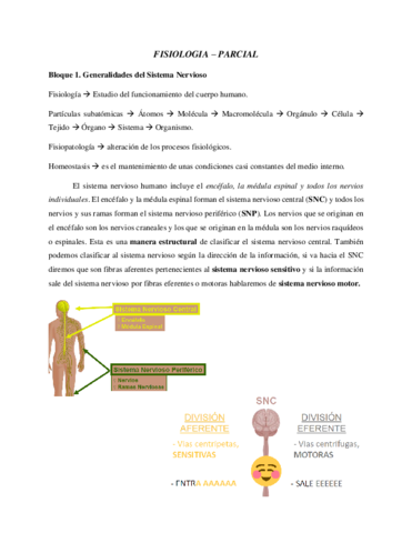 Fisiologia-Parcial.pdf