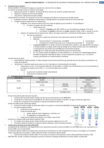 T-6-Analisis-Cromatografico.pdf