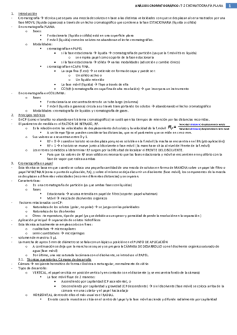 T-2-Analisis-Cromatografico.pdf