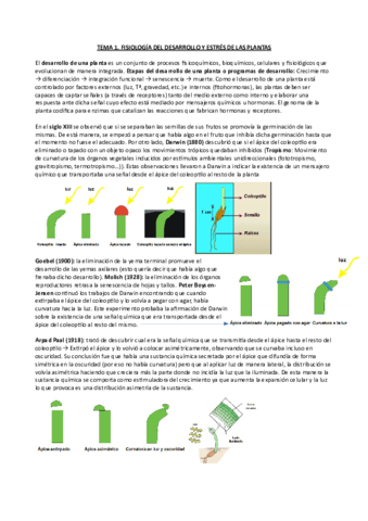 Tema-1-fisio-veg-2.pdf