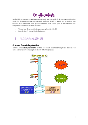 Tema-2-MyR.pdf