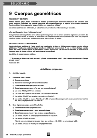 Solucionario-tema-9-SM.pdf