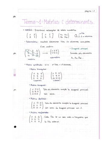 SUMA-Dues-matrius-1.pdf