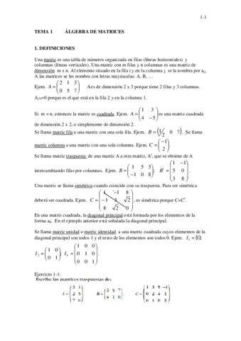 1-2o-MATRICES-teoria.pdf