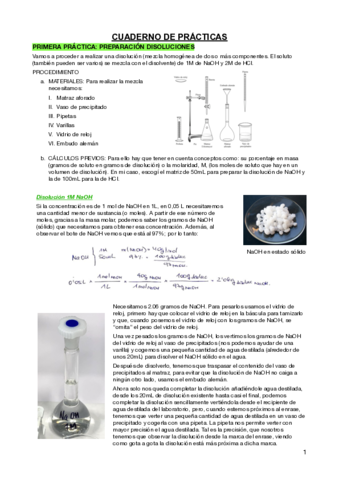 Guión de prácticas química general.pdf