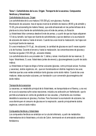 Resumen-Cuestiones-Tema-1-.pdf