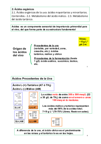 TEMA-2.pdf