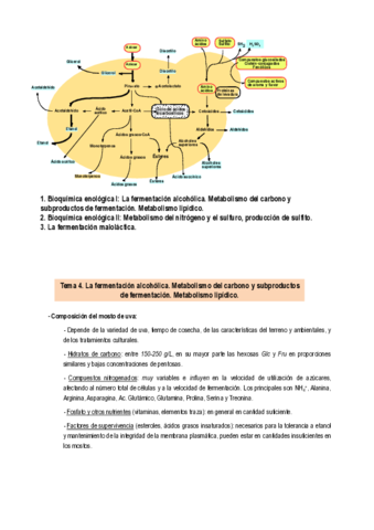 TEMA-4-FERMENTACION-ALCOHOLICA.pdf