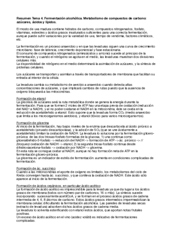 RESUMEN-Y-PREGUNTAS-TEMA-4.pdf