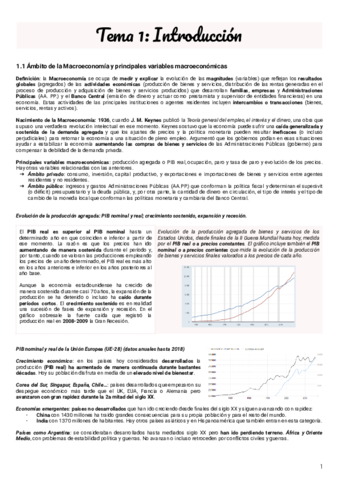 MACRO-TEMA-1.pdf