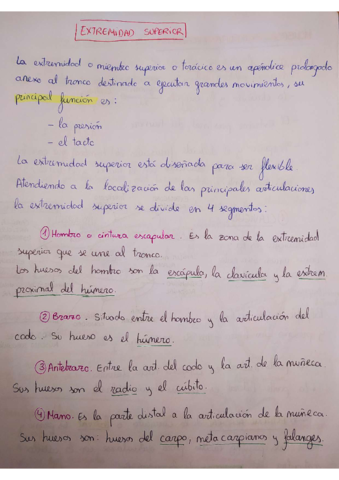 Extremidad-superior-COMPLETA.pdf