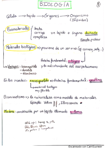 RESUMEN-TODA-TEORIA.pdf