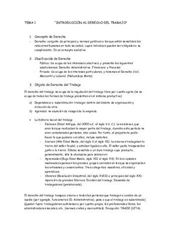 Tema 1 - DL.pdf