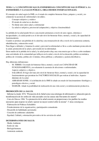 resumen.pdf