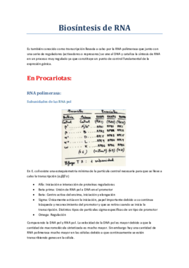Biosíntesis de RNA.pdf