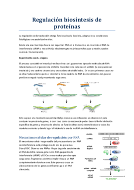 Regulación biosíntesis de proteínas.pdf