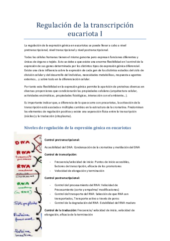 Regulación de la transcripción en eucariotas.pdf