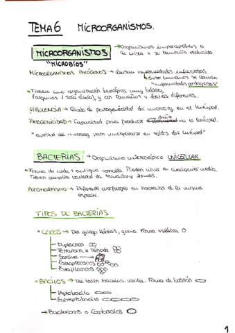 TEMA-6-Microorganismos-.pdf
