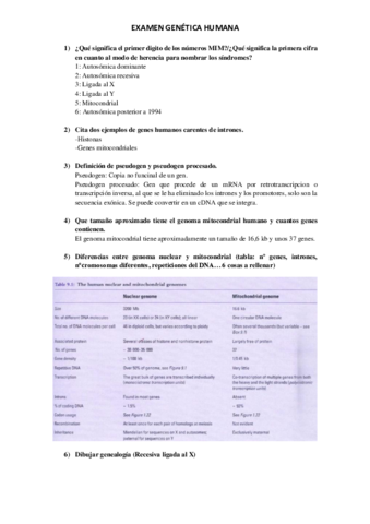 PREGUNTAS-GENETICA-RESPONDIDAS.pdf