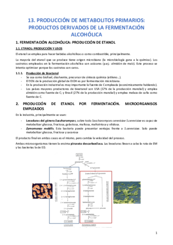 TEMA-13-MICRO.pdf