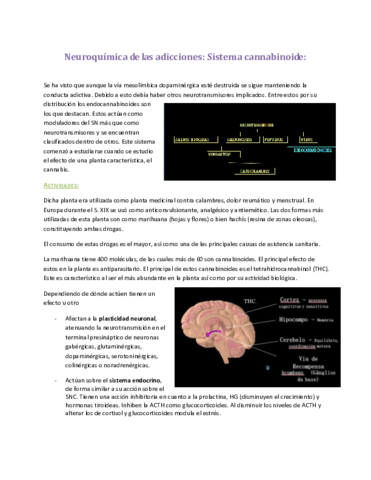 Sistema cannabinoide.pdf