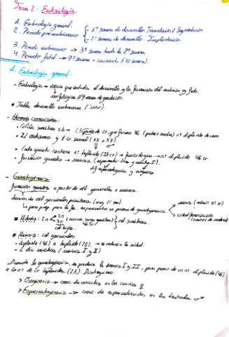 t2-embriologia-claudia-callejo.pdf