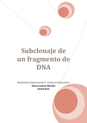 Protocolo Bioquímica Experimental II.pdf