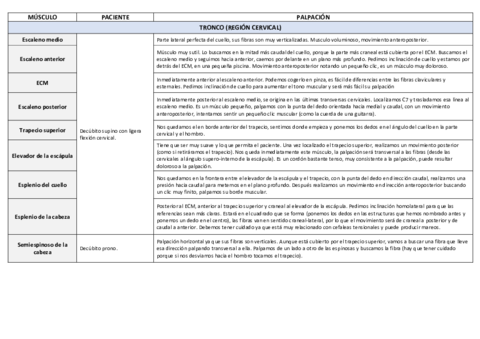 Palpacion-muscular.pdf