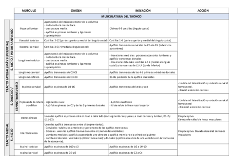 MC-ANATOMIA.pdf