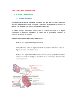 Fisiologia_tema_9.pdf