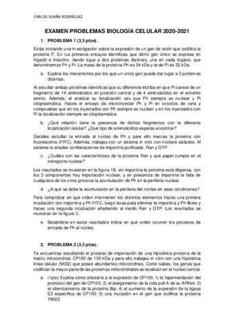Examen-problemas-2020.pdf