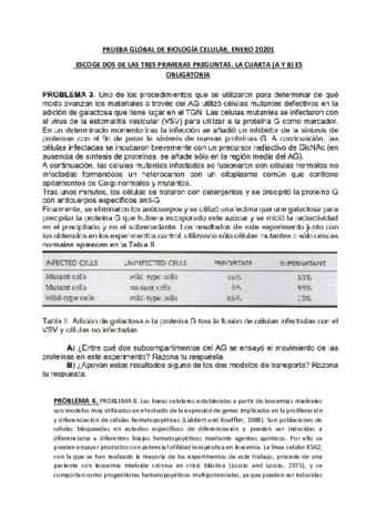 Examen-Global-Extraordinaria-2020-21.pdf
