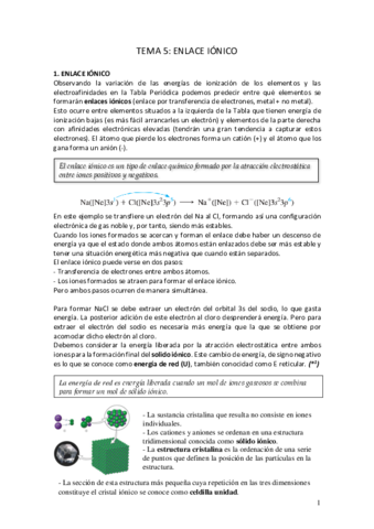 TEMA-5.pdf