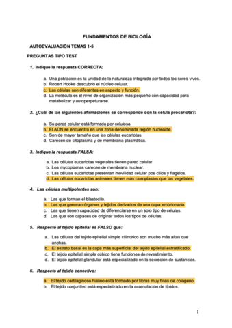 Autoevaluacion-1oer-Parcial.pdf