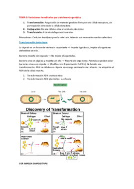 Microbiología. Tema 9.pdf