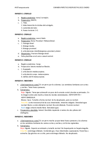 EXAMEN-ENERO.pdf