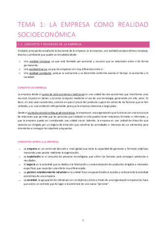 RESUMEN-TEMA-1-IEE.pdf