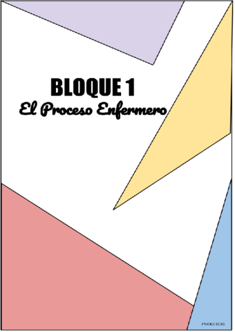 BLOQUE-1-El-proceso-enfermero.pdf