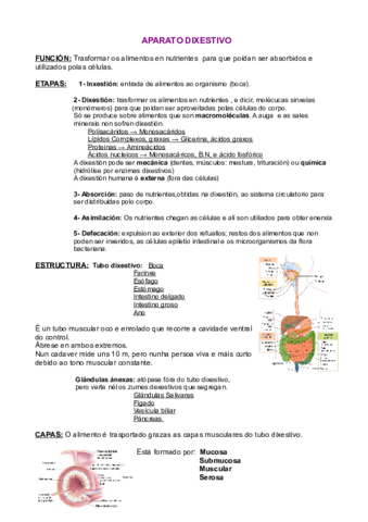 APARATO-DIXESTIVO.pdf