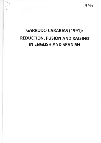 Garrudo-1991.pdf