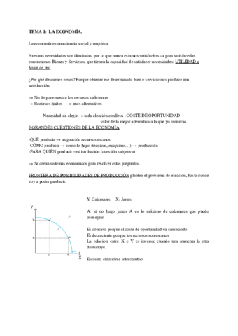 PRIMEROS-TEMAS-ECONOMIA.pdf